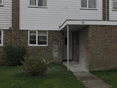 Picture 13